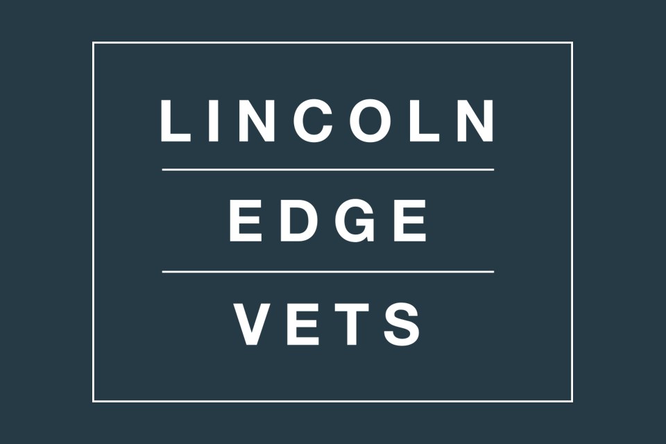 Lincoln Edge Vets