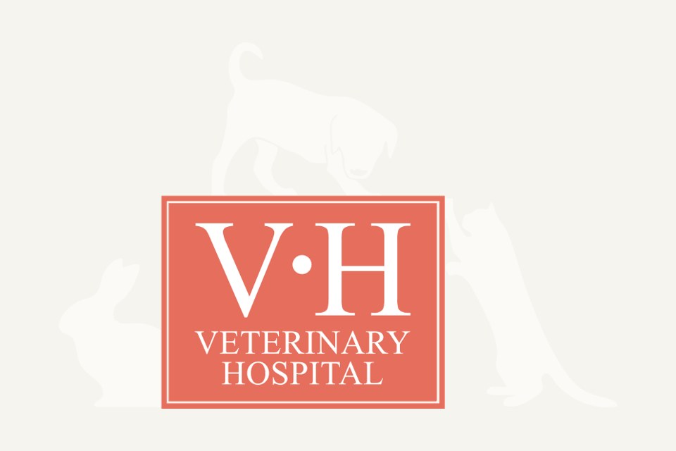 The Veterinary Hospital